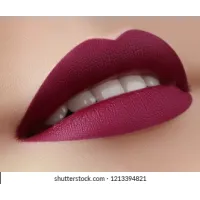 Lips Stick (Virtual Try on Camera)