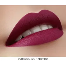 Lips Stick (Virtual Try on Camera)